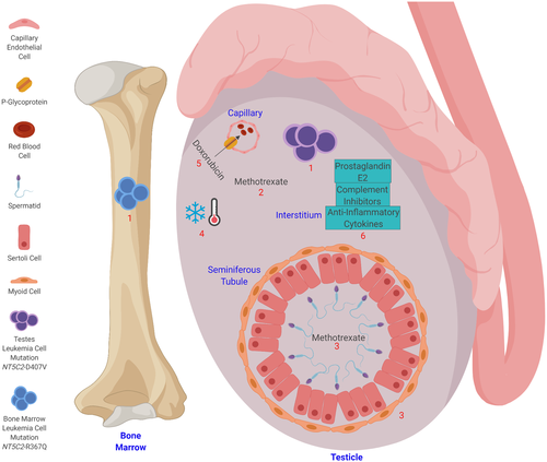 Details are in the caption following the image Details are in the caption following the image